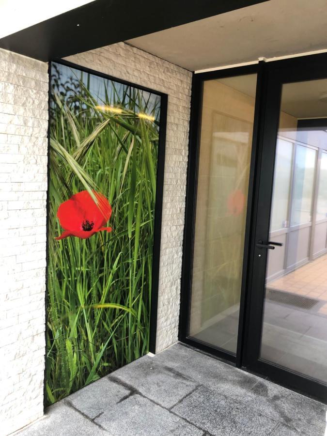 Klaproos - Modern Appartement Op Zeedijk Ньивпорт Экстерьер фото